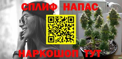 гидропоника Бузулук
