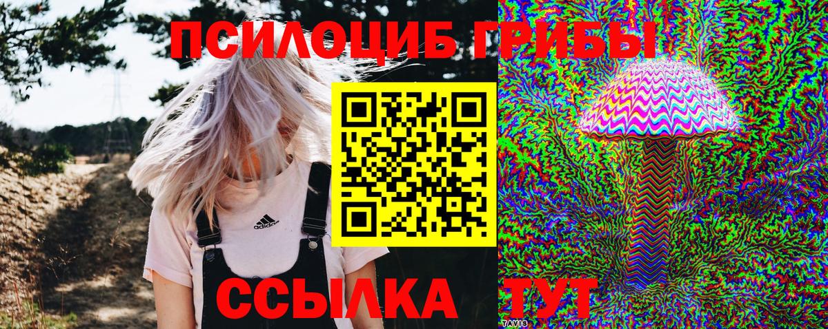 Галлюциногенные грибы прущие грибы Тулун