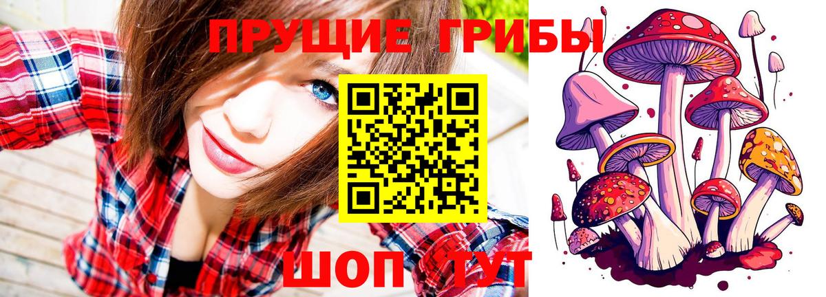Тулун  Псилоцибиновые грибы Cubensis  Вход с VPN  Псилоцибиновые грибы GOLDEN TEACHER 